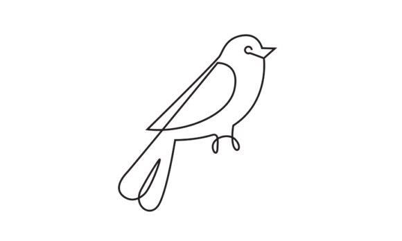 Animated Continuous Line Drawing of Bird