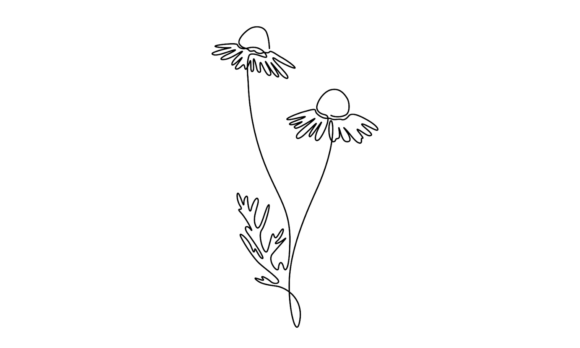 Bringing Nature to Life: The Animated Chamomile Flowers Line Art Style