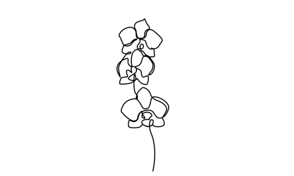 Captivating Motion: The Allure of Continuous Line Orchid Animation