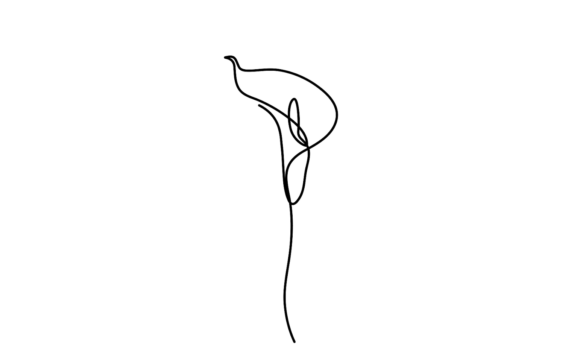 Continuous Line Art of Anthurium Flowers: Dynamic Motion Graphics