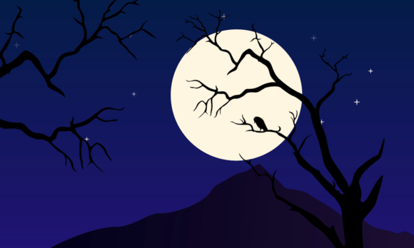 Emotional Depth: The Visual Power of Full Moon Night Animation