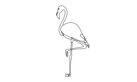Flamingo Bird Continuous Line Animation: A Masterpiece in Motion