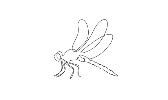 The Animated Line Art Dragonfly: Minimalism in Motion
