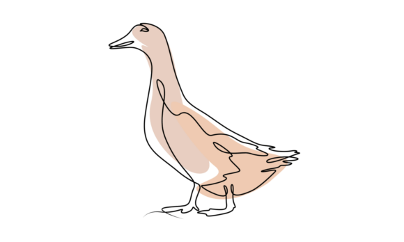 The Animated One Line Drawing of Duck: A Modern Design Asset