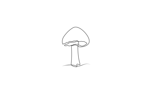 The Art of the Unbroken Line: Animated Mushroom Signs