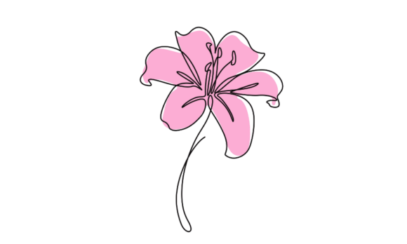 The Elegance of Motion: Animated Lilium Flowers Line Art