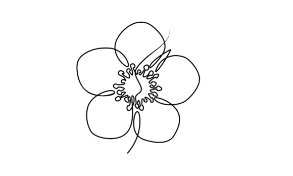 The Elegant Motion of Strawberry Flower Animation