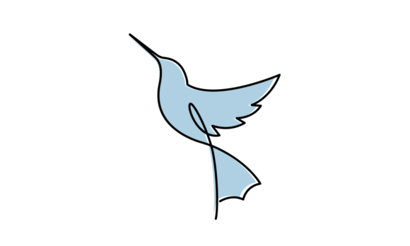 The Graceful Motion of Flying Bird Animation