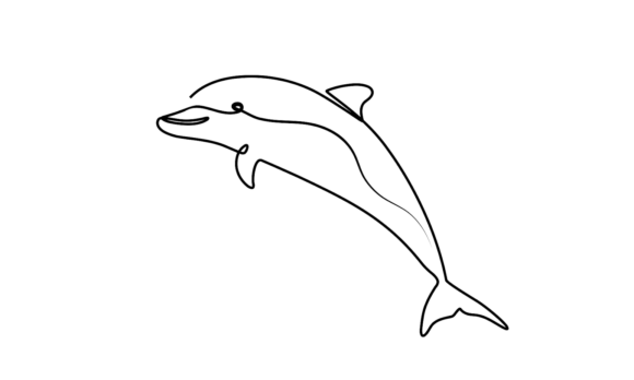 Unveiling Marine Life: Dolphin Continuous Line Art Animation